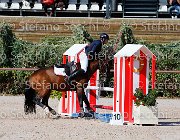 Apolloni Baby Arko GioCav2013 S5 1912 : Apolloni Gianluca, Baby Arko, Campionati Italiani Giovani Cavalli, Cattolica, ph Stefano Secchi ©